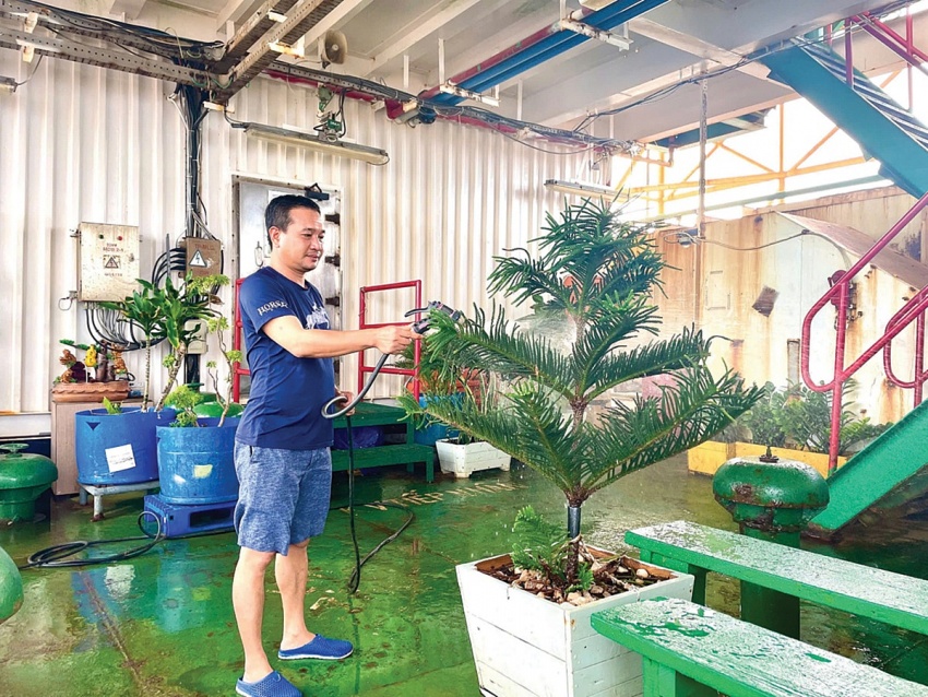 Vietsovpetro - Gieo màu xanh trên những công trình biển Vietsovpetro - Gieo màu xanh trên những công trình biển