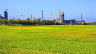 BSR đồng hành cùng hành trình phát triển của tỉnh Quảng Ngãi