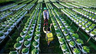 PVCFC khẳng định vị thế tiên phong trong minh bạch và quản trị ESG