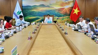 Petrovietnam tập trung triển khai các nhiệm vụ trọng yếu để thực hiện Dự án Điện hạt nhân Ninh Thuận 2