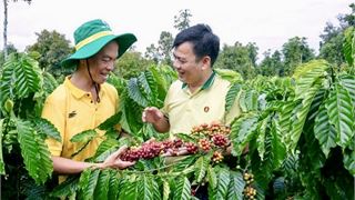 PVCFC duy trì nền tảng tài chính ổn định, đạt kết quả khả quan trong quý I/2025