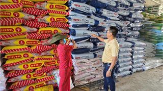 Phú Mỹ dự kiến cung ứng gần nửa triệu tấn phân bón cho vụ Hè Thu 2025