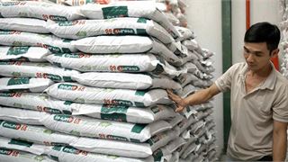PVFCCo ra mắt Hữu cơ Phú Mỹ Organic, hoàn thiện “Bộ ba vàng”