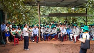 PVFCCo - Phú Mỹ đồng hành cùng canh tác bền vững sầu riêng Đắk Lắk