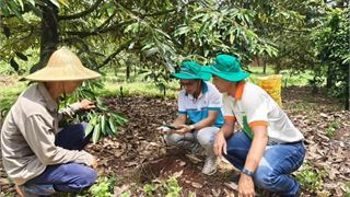 Phu My cooperates with Enfarm: A big step forward in digital transformation of Vietnamese agriculture