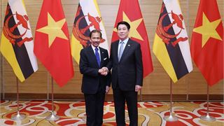 Vietnam, Brunei issue joint statement