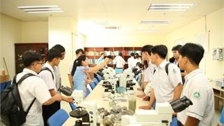 PVU: Đánh thức đam mê công nghệ từ hệ sinh thái năng lượng thực tế