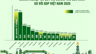 Petrovietnam và hệ sinh thái đóng góp nổi bật vào tăng trưởng GDP đất nước