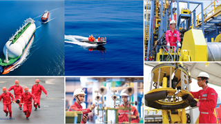 HEALTH, SAFETY AND ENVIRONMENT EXCELLENCE