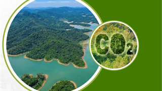 PV Power chuẩn bị bước vào giao dịch lô hàng hóa đầu tiên của thị trường carbon