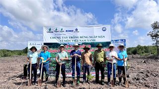 PQPOC chung tay phủ xanh rừng ngập mặn “Vì một Việt Nam xanh”