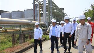 Lãnh đạo Tập đoàn Dầu khí Việt Nam kiểm tra tình hình Nhà máy nhiên liệu sinh học Bình Phước