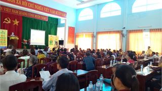Nông dân Bình Định phấn khởi sử dụng phân bón Đạm Cà Mau