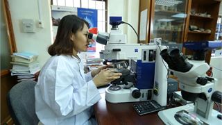 30 năm tìm thấy dầu ở tầng đá móng mỏ Bạch Hổ: Vietsovpetro tin trong tầng đá móng có dầu