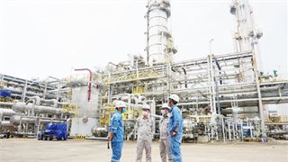Petrovietnam vững vàng trước các làn sóng đại dịch covid-19