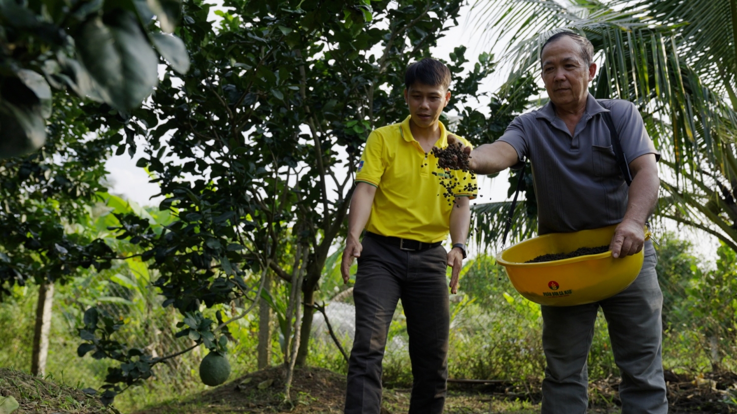 CBCNV PVCFC nâng cao năng lực chuyên môn, cùng bà con phát triển bền vững CBCNV PVCFC nâng cao năng lực chuyên môn, cùng bà con phát triển bền vững