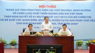 Proposed revisions to Việt Nam's oil and gas sector development strategy reviewed