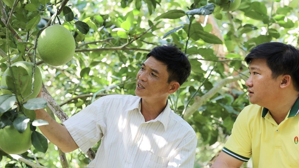 Phân bón Cà Mau được vinh danh “Doanh nghiệp tiêu biểu vì người lao động năm 2023 Phân bón Cà Mau được vinh danh “Doanh nghiệp tiêu biểu vì người lao động năm 2023