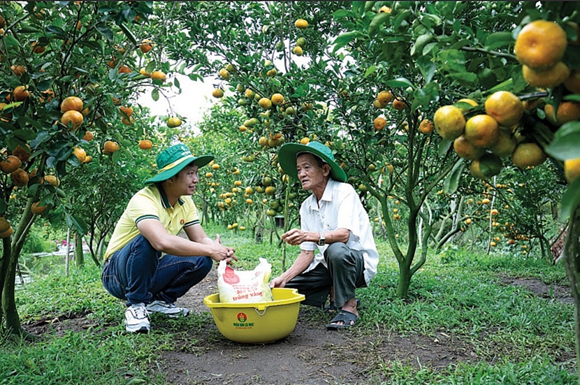 PVCFC dồn lực cho 3 mũi nhọn PVCFC dồn lực cho 3 mũi nhọn