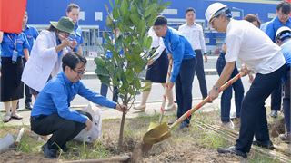 Tuổi trẻ Dầu khí trồng cây phủ xanh Nhà máy Nhiệt điện Sông Hậu 1