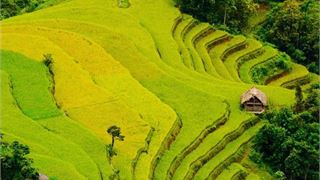 Và mùa Thu lại về…