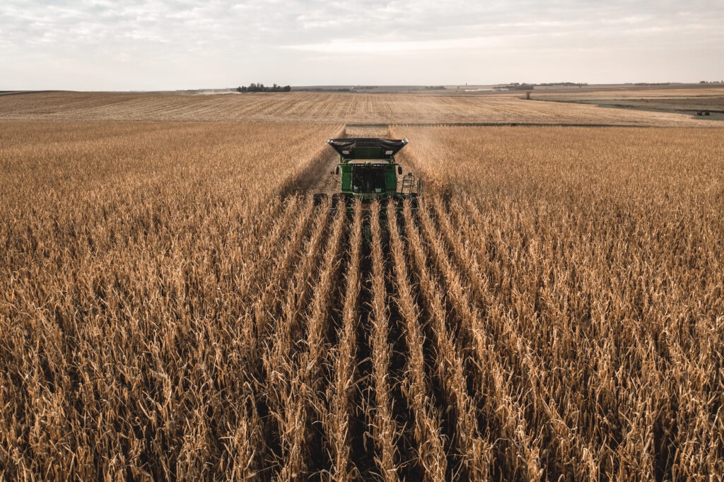 Ethanol được sản xuất thông qua quá trình lên men tinh bột hoặc các sản phẩm hữu cơ chứa đường như ngô (chủ yếu ở Hoa Kỳ) Ethanol được sản xuất thông qua quá trình lên men tinh bột hoặc các sản phẩm hữu cơ chứa đường như ngô (chủ yếu ở Hoa Kỳ)