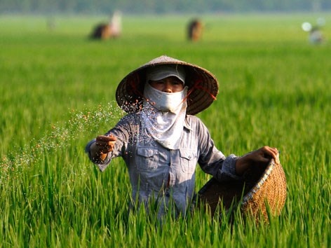 Rất cần thiết khi đưa mặt hàng phân bón vào diện chịu thuế Rất cần thiết khi đưa mặt hàng phân bón vào diện chịu thuế