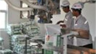 Hạt ngọc cho mùa vàng