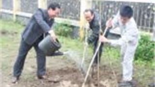 BSR phát động Tết trồng cây đầu Xuân Nhâm Thìn 2012