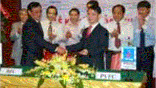 THOẢ THUẬN HỢP TÁC GIỮA PVFC &amp; RFC; PVFCCo Trading &amp; RUBICO; RUBICO &amp; Khách hàng