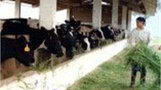 100 thanh niên nông thôn tiêu biểu nhận giải thưởng Lương Định Của lần thứ VI