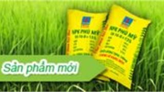 Đạm Phú Mỹ hỗ trợ nông dân nghèo Camphuchia