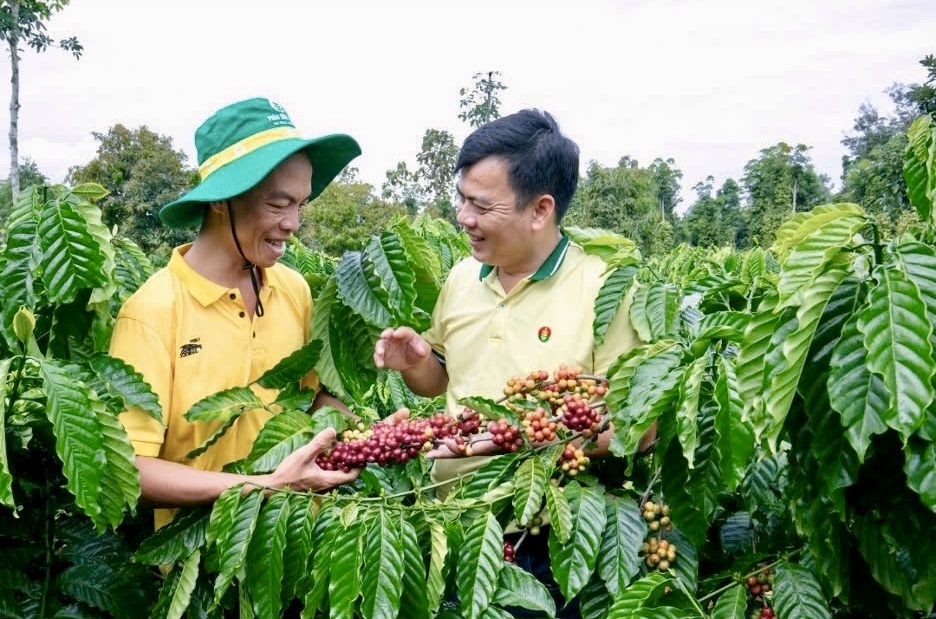 PVCFC duy trì nền tảng tài chính ổn định, đạt kết quả khả quan trong quý I/2025”
