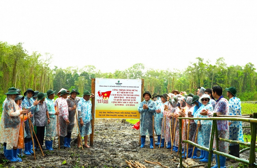 PV Drilling tài trợ 100.000 cây xanh cho dự án phục hồi rừng tràm”