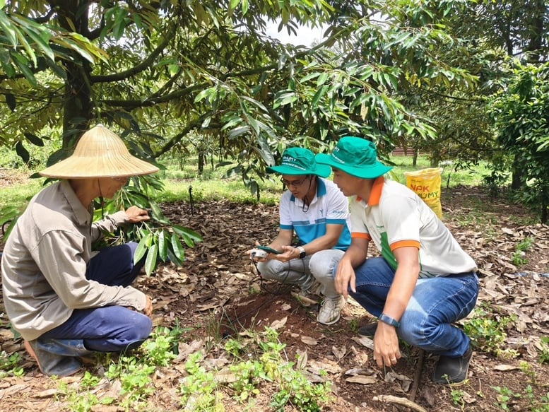 Phu My cooperates with Enfarm: A big step forward in digital transformation of Vietnamese agriculture