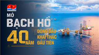 [E-magazine] Mỏ Bạch Hổ: 40 năm đánh thức dòng dầu giữa biển khơi