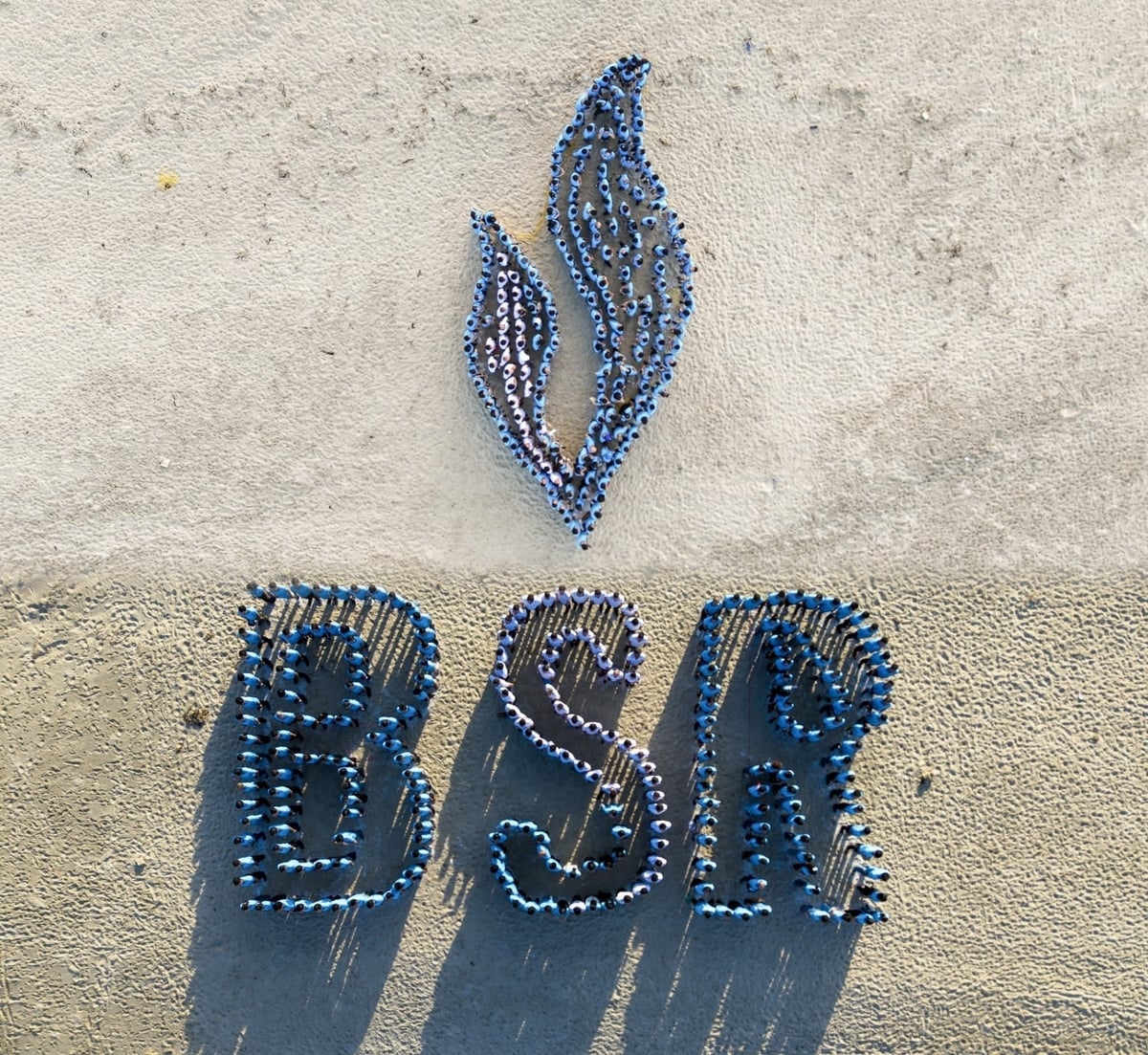 BSR preserves tradition and fosters aspirations for greater achievements.