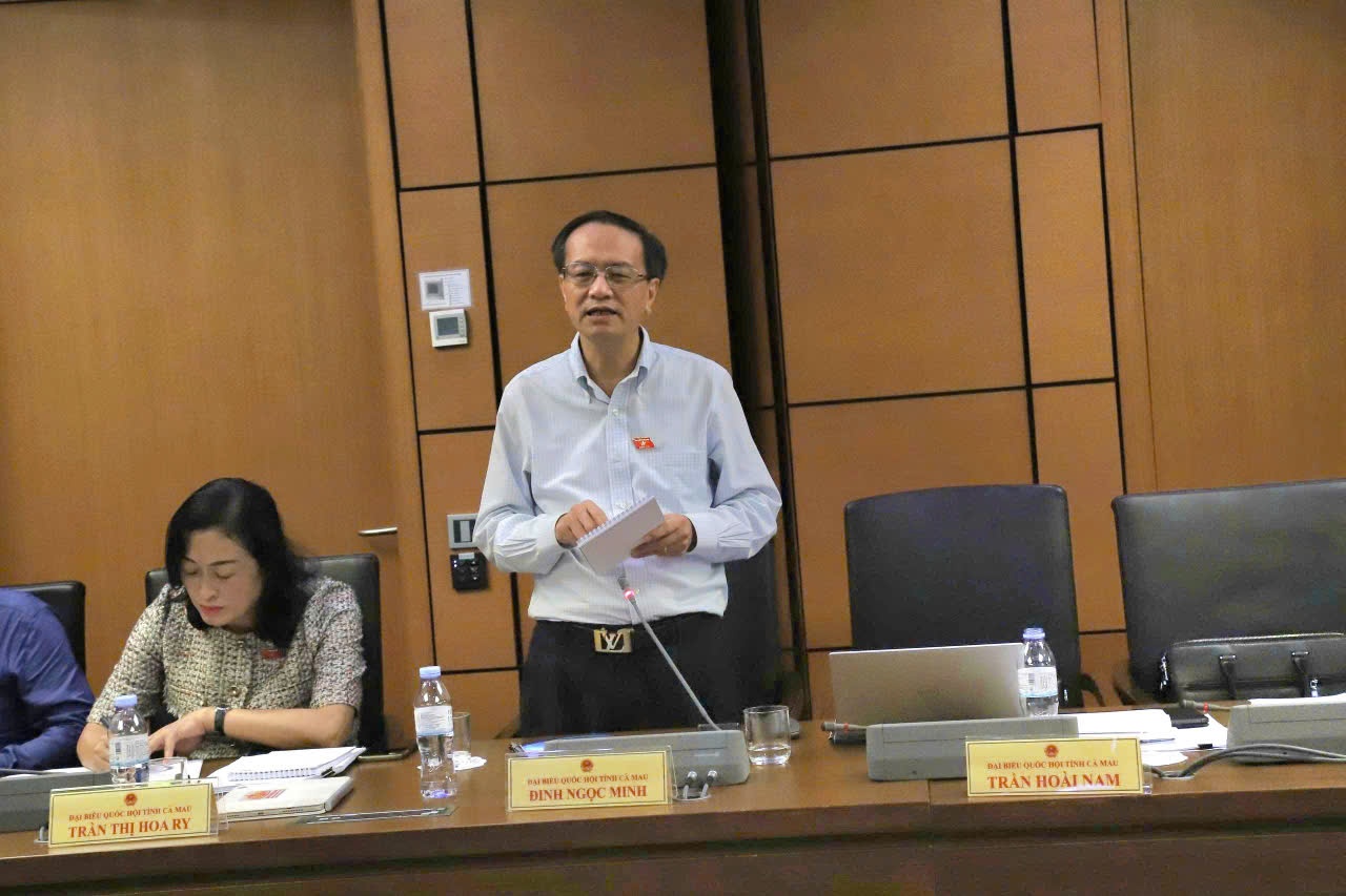 Đại biểu Đinh Ngọc Minh (Đoàn ĐBQH tỉnh Cà Mau) nêu quan điểm về dự thảo Luật Dầu khí (sửa đổi).