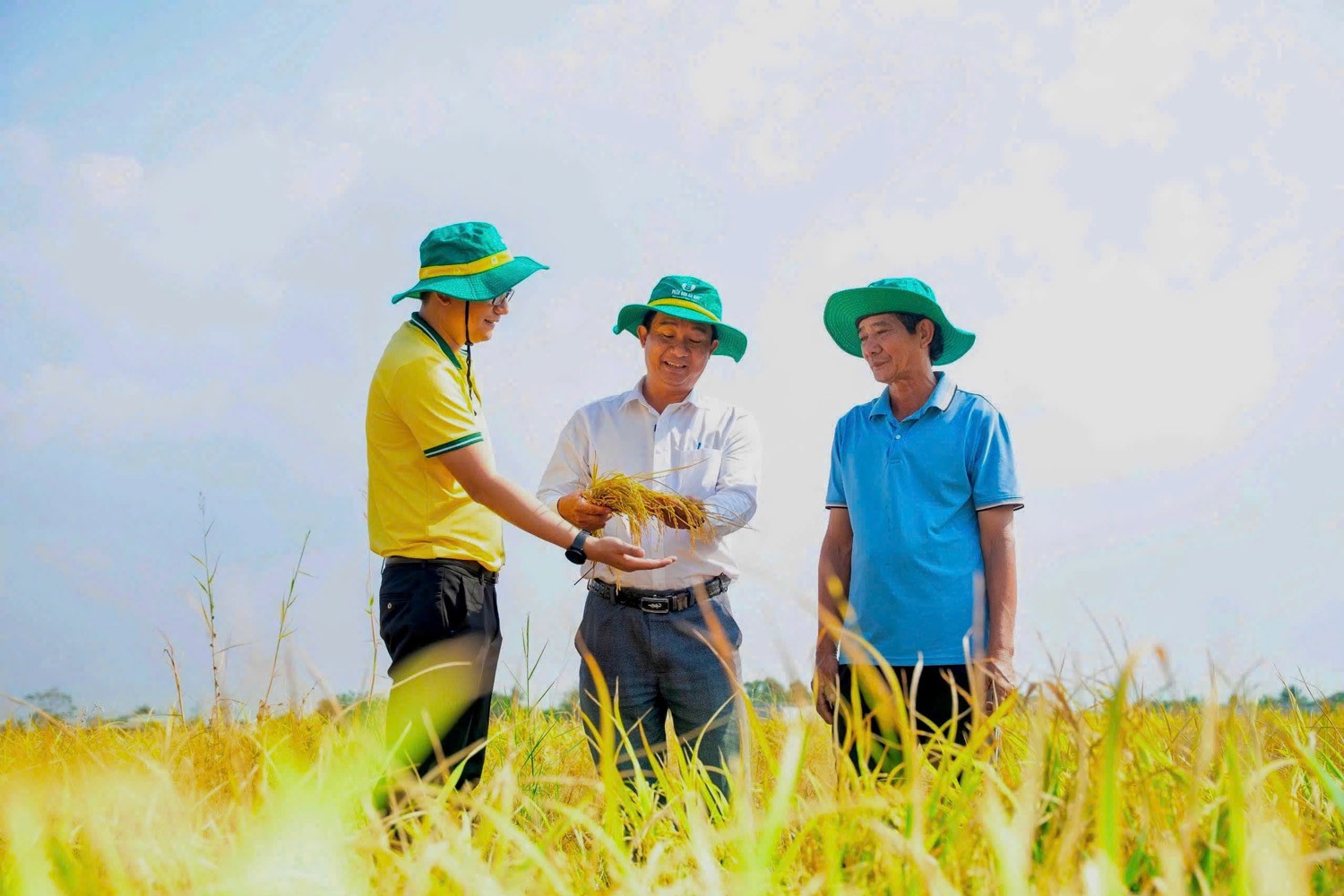 PVCFC góp phần nâng cao hiệu quả canh tác, giúp bà con tiếp cận các giải pháp nông nghiệp bền vững.