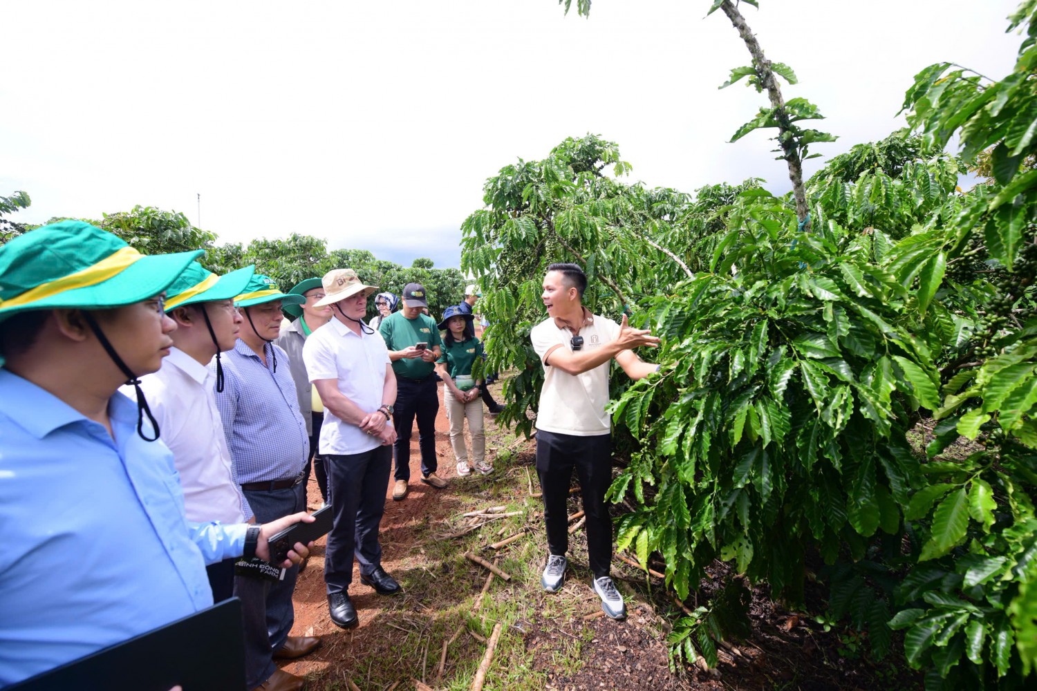 Cà phê Robusta Việt cần được thị trường nhận diện bằng chất lượng và trải nghiệm cảm quan, thay vì chỉ dừng ở chỉ dẫn về nơi sản xuất.