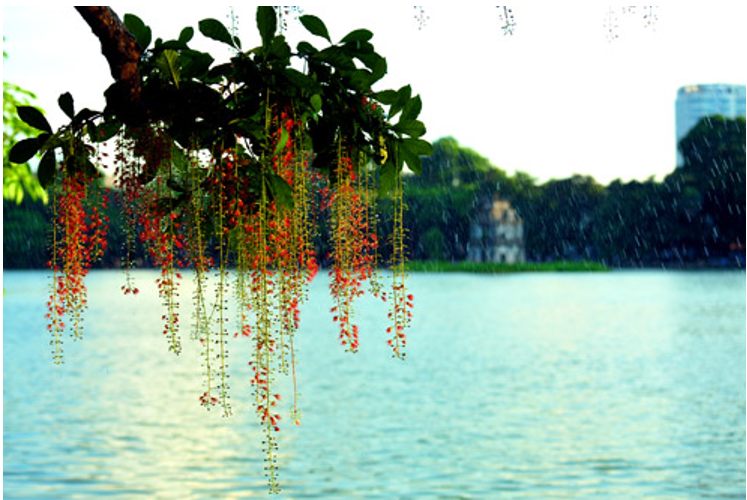 About Hanoi”
