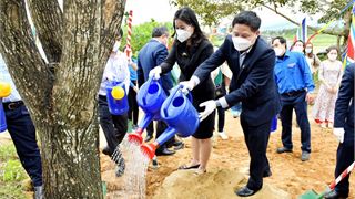 BSR ra quân trồng cây tại các điểm di tích lịch sử văn hóa tỉnh Quảng Ngãi