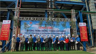 Petrovietnam phát động chương trình trồng 3 triệu cây xanh tại các công trình, địa phương có hoạt động Dầu khí