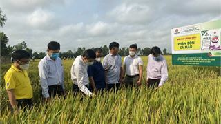 NPK Cà Mau: Nỗ lực đồng hành cùng nông dân Việt Nam