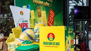 Hạnh phúc ngập tràn với "Mùa Vàng Thắng Lớn"