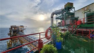 Giàn RP-3 với phong trào làm xanh công trình biển
