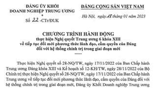 Đảng uỷ Khối Doanh nghiệp Trung ương ban hành 02 Chương trình hành động thực hiện Nghị quyết Trung ương 6 khoa XIII