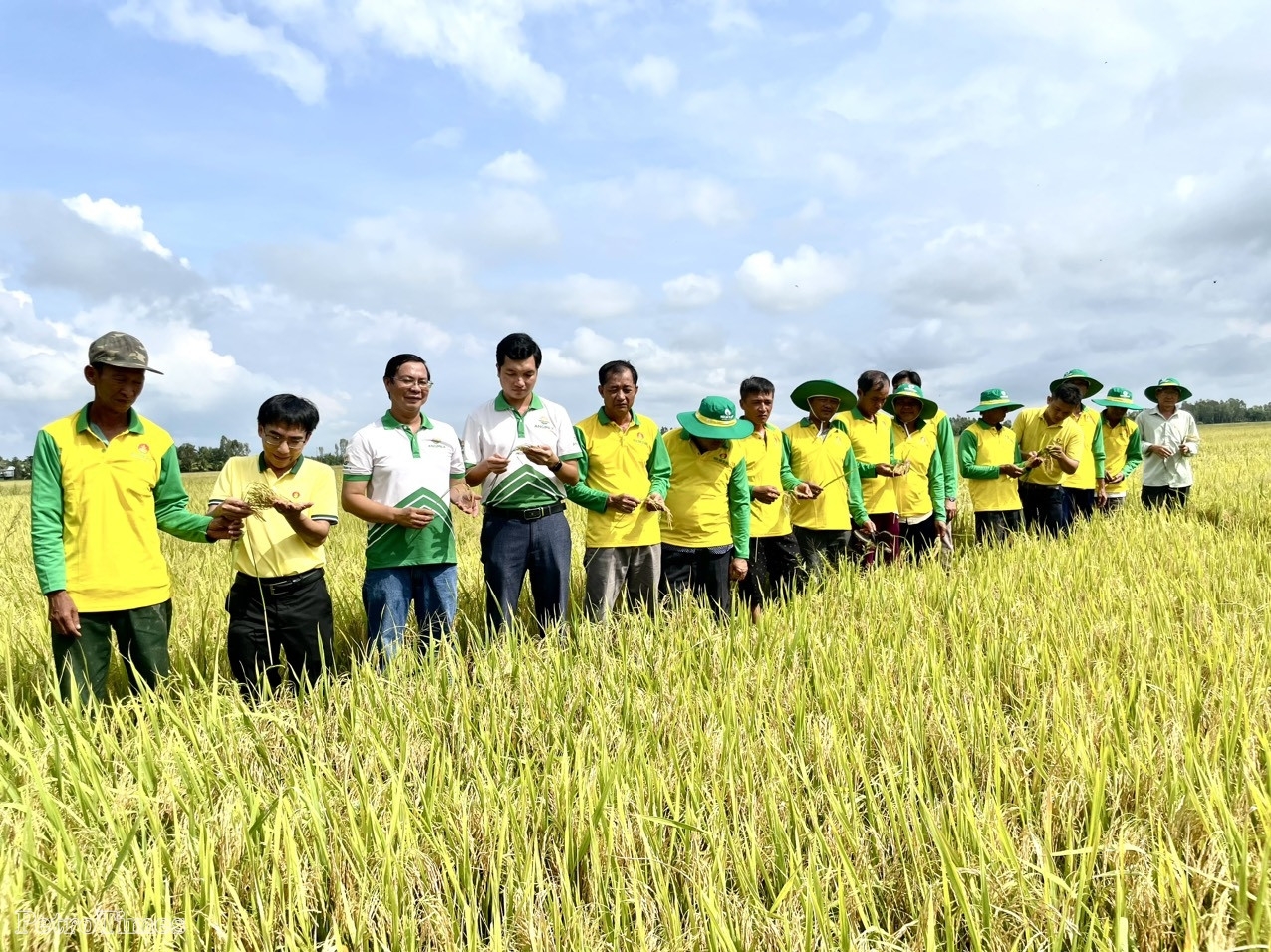 PVCFC kỷ niệm 12 năm thành lập: Hành trình kiến tạo giá trị nông nghiệp Việt