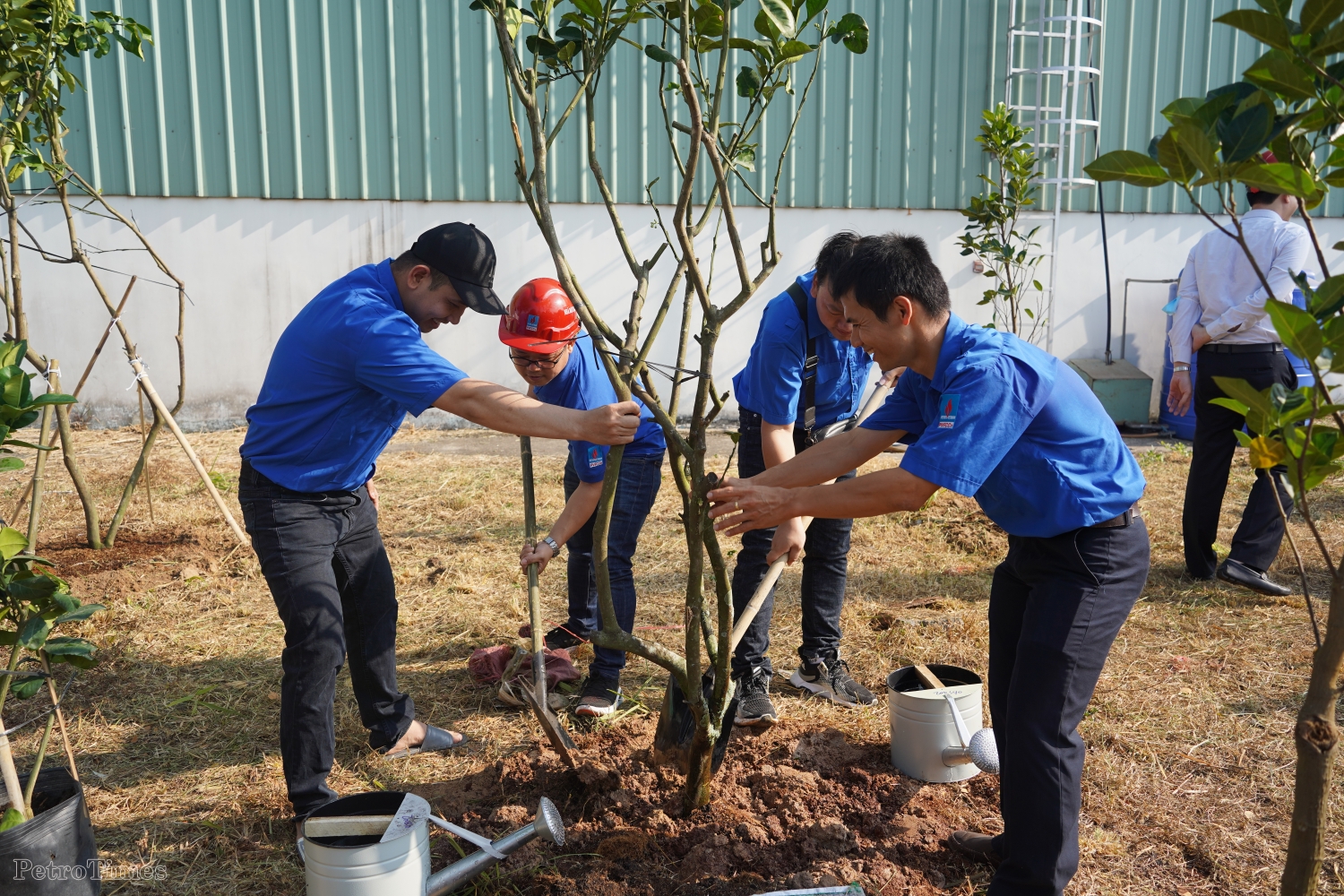 PVFCCo ra quân chương trình trồng 300.000 cây xanh”