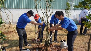 PVFCCo ra quân chương trình trồng 300.000 cây xanh